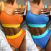 New Bikini Outer Swimsuit European And American Women's Swimwear Solid Color Bikini Women B169_ecoleips.com