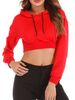 Women's Casual Short Cropped Hooded Sweatshirt European American Style Autumn Fashion Clothing For Ladies_ecoleips.com