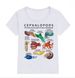 Shark Faces Of All Kinds T-shirt The Cephalopod Octopus Squid T-shirt Men Women Unisex Casual Tops Casual Daily Streetwear_ecoleips.com