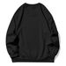 Women's Thick Sweatshirt Casual Round Neck Top With Strawberry Pattern Print Loose Fit Autumn Winter Clothing_ecoleips.com