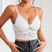 Cross-border Foreign Trade Solid Color Sexy Lace Deep V Strapless Crop European And American Style Tank Top 9328_ecoleips.com