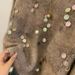 Women's Clothing Women's Sequined Retro Loose Pullover Sweater Soft Thick Knit Top High End Lazy Style For Autumn Winter_ecoleips.com