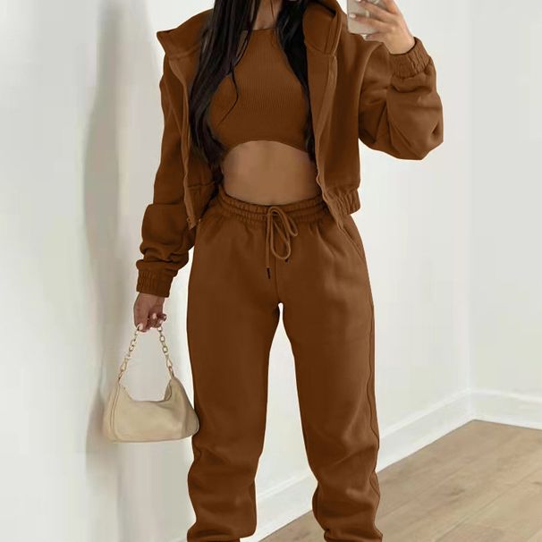 Women's Three Piece Suit European And American Style Velvet Hooded Sweatshirt And Trousers Sports Fashion Leisure Winter Wear Complete Set_ecoleips.com