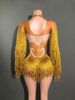 Singer Stage Dance Costume Retro Pearl Rhinestone Sexy Long Sleeved Tassel Performance Gown Women's Party Wear_ecoleips.com