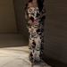 Modest Abaya Dress Floral Jacquard Mesh Gown – Black Rose Embroidery A-Line Evening Dress With Square Neck & Puff Sleeves (S-XXL)_ecoleips.com