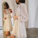 Talenza Print Chiffon Dress Women's Ruffled Neckline Lace Up Puff Sleeve See Through Dress 2025 Female Elegant Retro Loose Dress_ecoleips.com