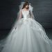 Women's Clothing The Wedding Dress Bride Wedding Dress Fairy Fluffy Skirt Long Tail Main Yarn_ecoleips.com