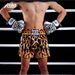 Aria Basics Aria Basics 2025 Cross-border European And American Women's Plus Size Fashion Leopard Print Boxing Shorts High Waist Muay Thai Pants_ecoleips.com