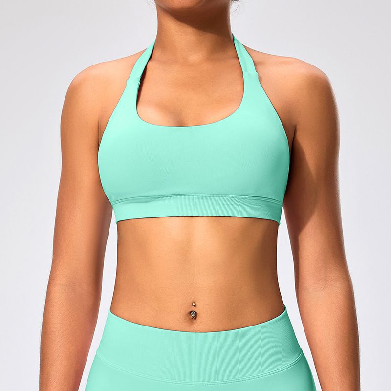 Women's Clothing Halter Neck Beautiful Back Sports Bra High Elastic Matte Nylon Large Backless Yoga Top Bra For Women_ecoleips.com