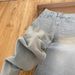 Light Blue Hot-Selling Rhinestone Straight-Leg Jeans For Women 2025 Autumn New Design High-Waisted Slimming Wide-Leg_ecoleips.com