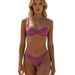 Women's Clothing High-End Two Piece Bikini Set American New Style Sexy Swimsuit_ecoleips.com