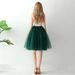 2025 New Style Puffy Women Tutu Pleated Mesh Half Adult Short Skirt_ecoleips.com