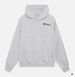 Unisex Casual Loose Hooded Sweatshirt Multi Color European American Style Minimalist Trendy Letter Print 2025 Versatile Women's Clothing_ecoleips.com